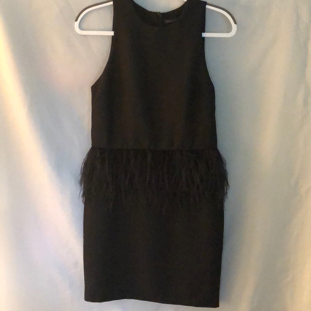 Cocktail dress feather trim